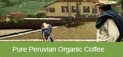 pure peruvian organic